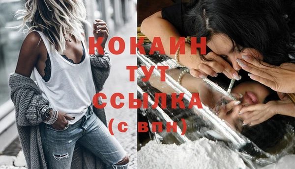 винт Богданович