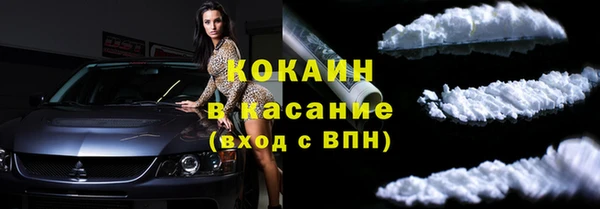 винт Богданович