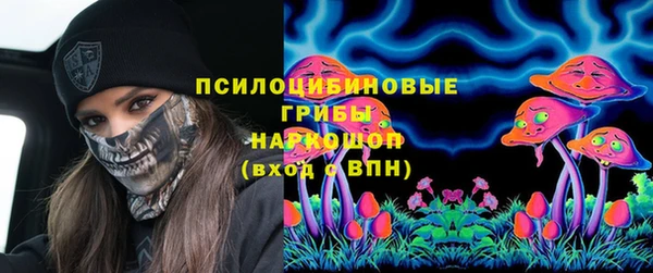 твердый Богородицк