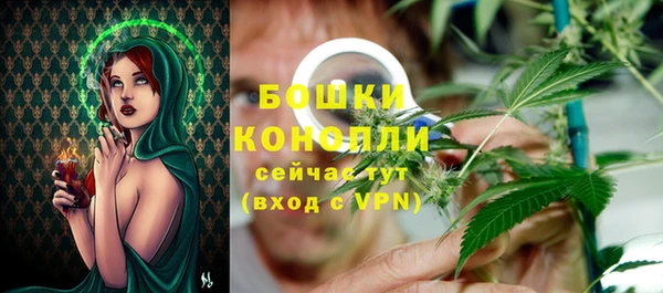 винт Богданович