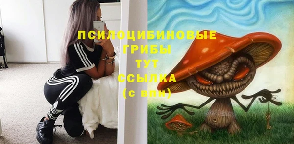 ALPHA PVP Богородск