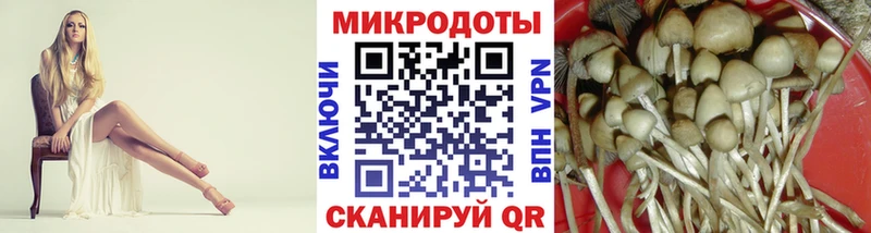 Псилоцибиновые грибы GOLDEN TEACHER  наркошоп  Надым 